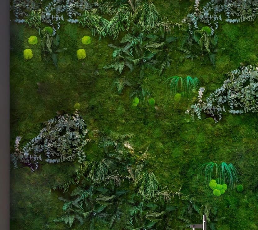 Waldmoos aus nächster Nähe